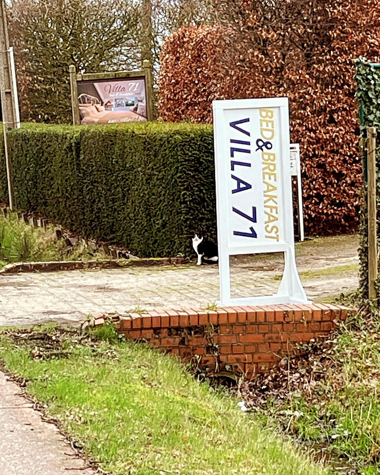 Villa71 Rijkevorsel Kültér fotó